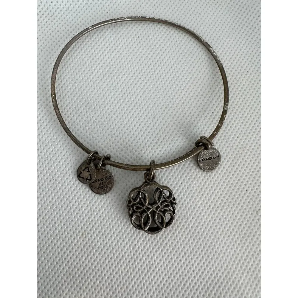Alex and Ani Bracelet Path of Life